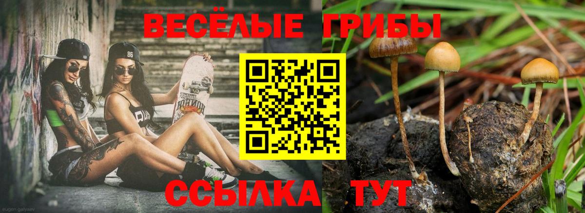 Псилоцибиновые грибы ЛСД  Вход с VPN  Галлюциногенные грибы Psilocybine cubensis  Бирск 